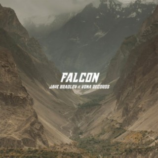 Falcon