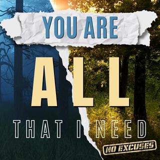 You Are All I Need (No Excuses) lyrics | Boomplay Music