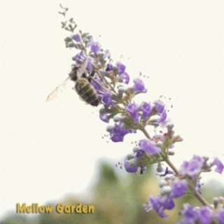 Mellow Garden