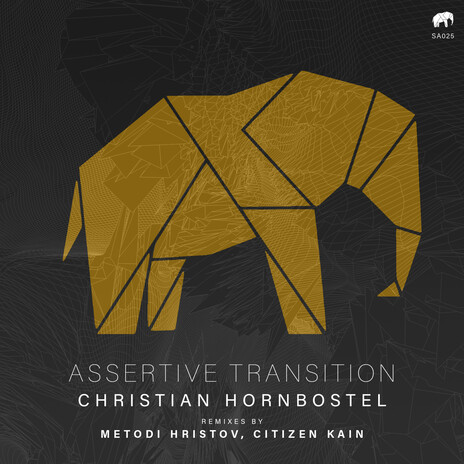 Assertive Transition | Boomplay Music