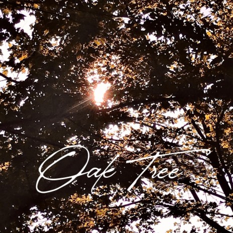 Oak Tree | Boomplay Music