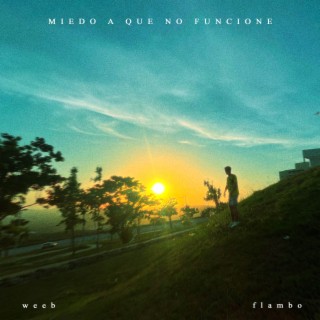 Miedo A Que No Funcione ft. Weeb lyrics | Boomplay Music