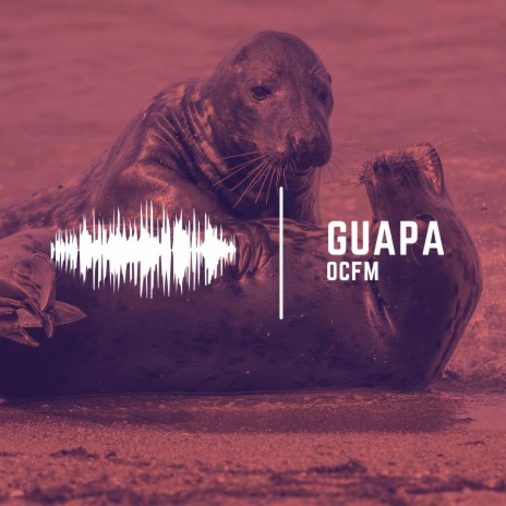 Guapa | Boomplay Music