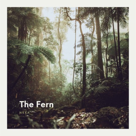 The fern