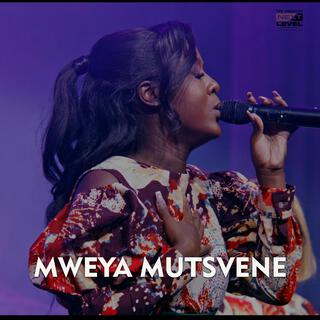 Mweya Mutsvene