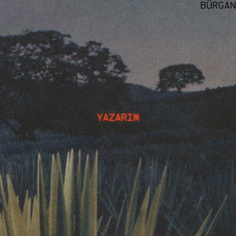 YAZARIM | Boomplay Music