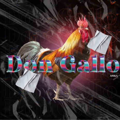 Don Gallo | Boomplay Music