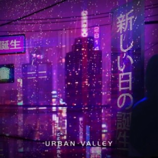 Urban Valley