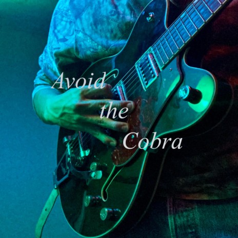 Avoid the Cobra | Boomplay Music