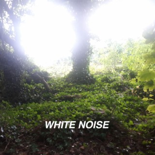 White Noise and Rain Collection