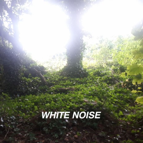 Happy White Noise