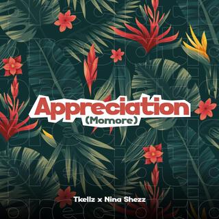 Appreciation (Momore) ft. Nina Shezz lyrics | Boomplay Music