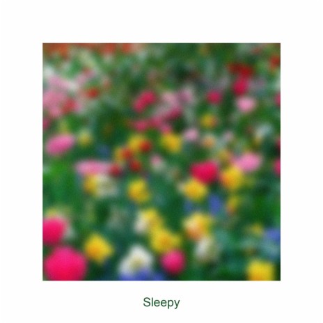 Sleepy | Boomplay Music