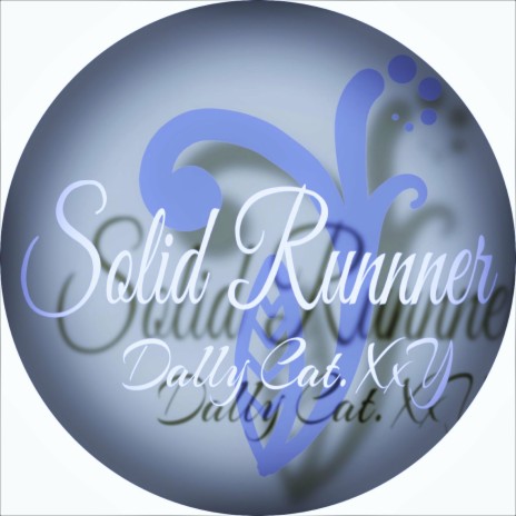 Solid Runner | Boomplay Music