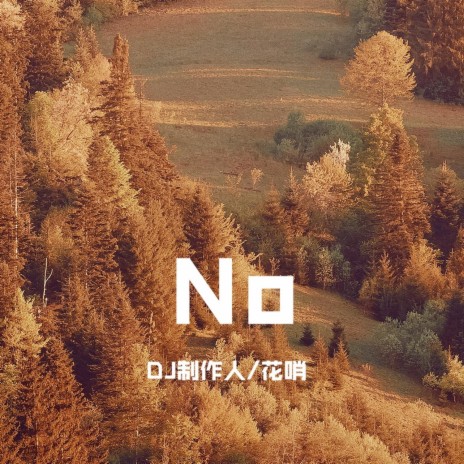 No | Boomplay Music