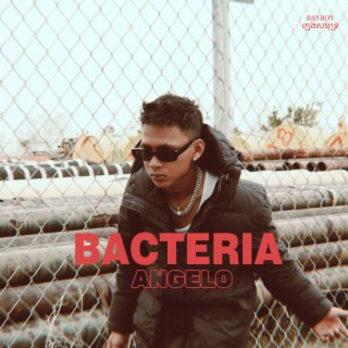 BACTERIA (បាក់តេរី) lyrics | Boomplay Music