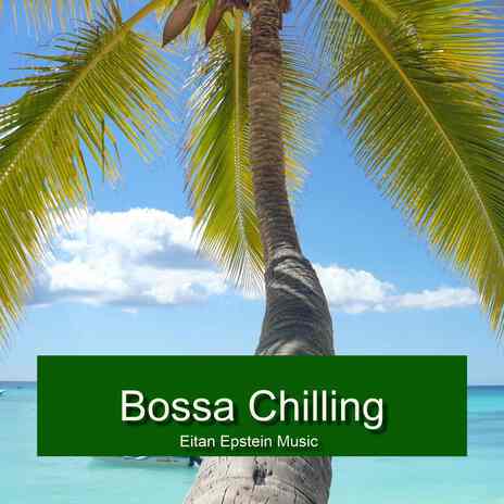 Bossa on Hold | Boomplay Music