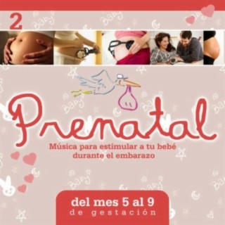 Prenatal 2: Música para Estimular a Tu Bebé Durante el Embarazo