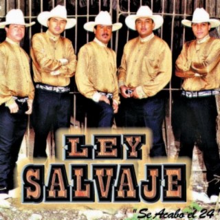 Ley Salvaje