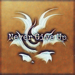 Never Give Up