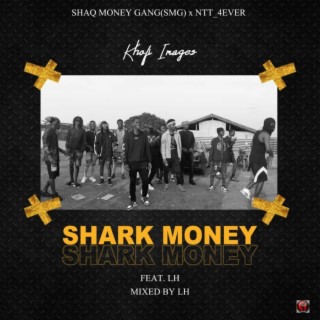 Shark Money