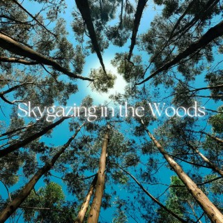 Skygazing in the Woods