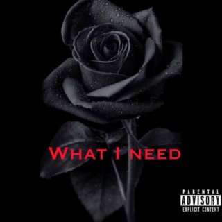 What I Need ft. Gabethefourth lyrics | Boomplay Music