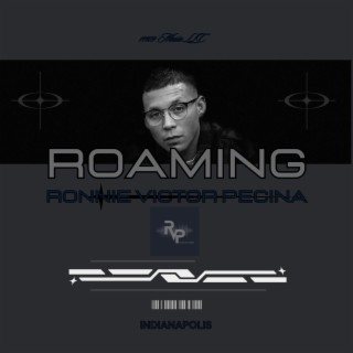 Roaming lyrics | Boomplay Music