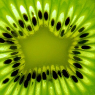 KIWI