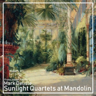 Sunlight Quartets at Mandolin