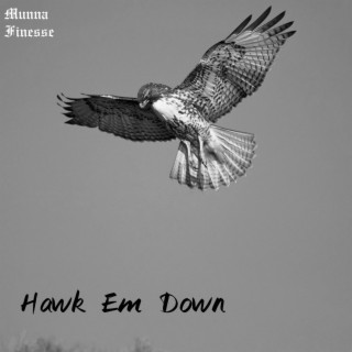 Hawk Em Down