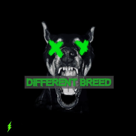 Different Breed (Freestyle) | Boomplay Music