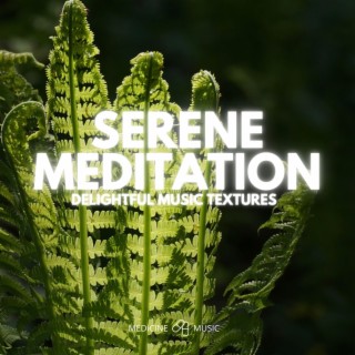 Serene Meditation (Delightful Music Textures)