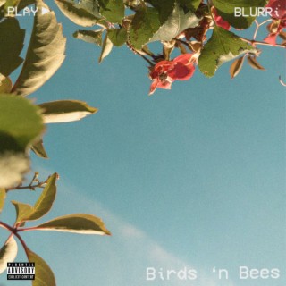Birds 'n Bees lyrics | Boomplay Music