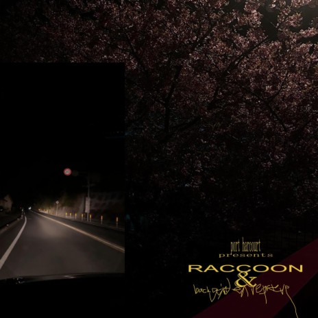 racoon! (ทุกคนอยู่ที่นี่) ft. No Idea Why & I'zz | Boomplay Music