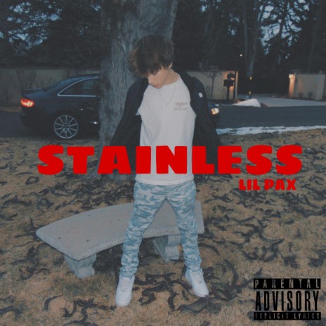 Stainless | Boomplay Music