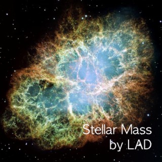 Stellar Mass