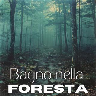 Bagno nella foresta: Musica di meditazione giapponese e immersione nella natura, Ambiente Shinrin-Yoku