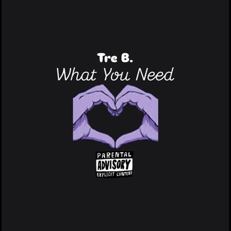 What You Need | Boomplay Music