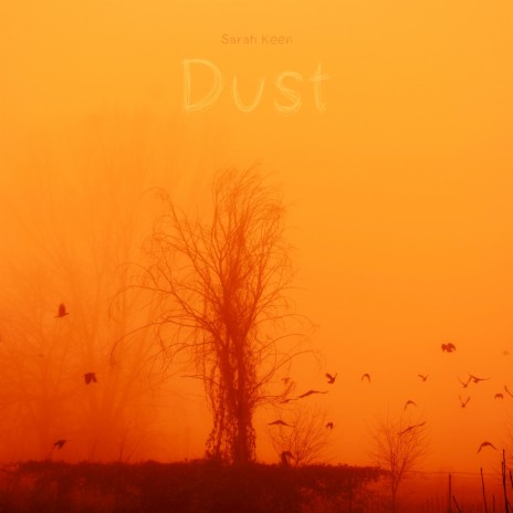 Dust | Boomplay Music