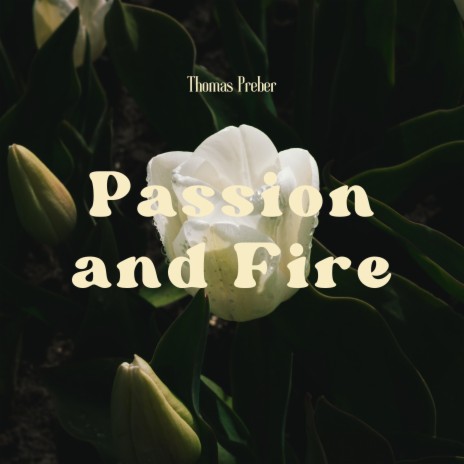 Passion and Fire | Boomplay Music