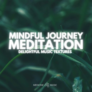 Mindful Journey Meditation (Delightful Music Textures)