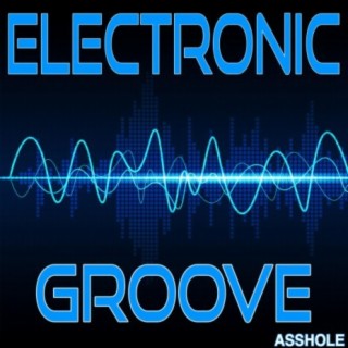 Electronic Groove (Asshole)