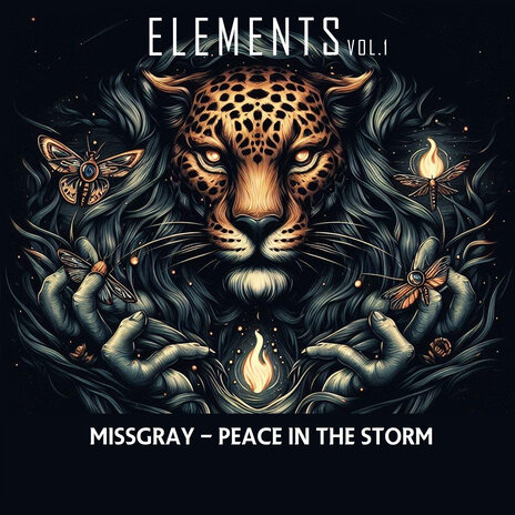 Peace in the Storm | Boomplay Music