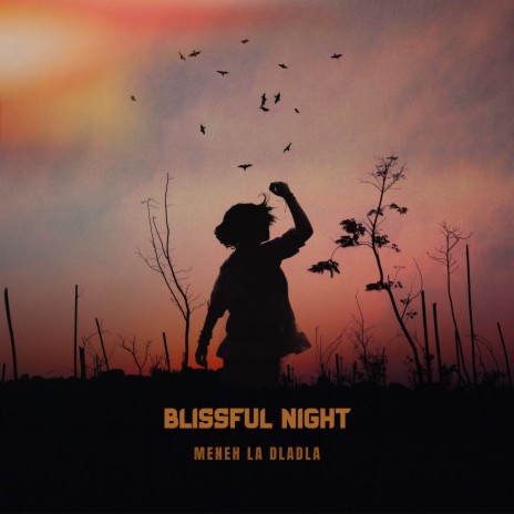 Blissful Night | Boomplay Music
