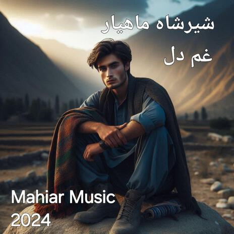 Ghame Dil Attan-Slwo غم دل (Live Music) | Boomplay Music