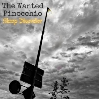 The Wanted Pinocchio