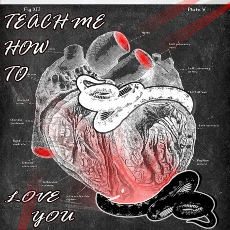 Teach Me How To Love You | Boomplay Music
