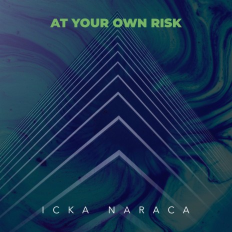 At Your Own Risk | Boomplay Music
