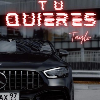 Tu quieres lyrics | Boomplay Music